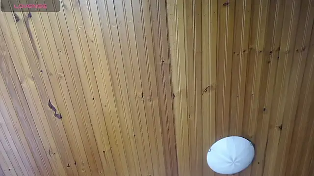 julz 03 online show from November 2025 11:47:02 AM