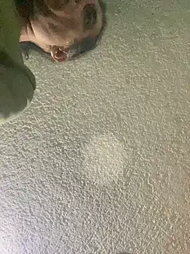 Snapshot of Effyvice13 chatting on September 2025 06:09:01 AM Effyvice13 online show from September 2025 06:09:01 AM