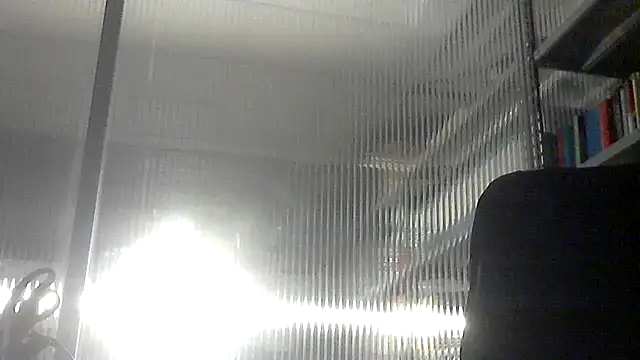 pantomax online show from November 2025 01:09:01 AM