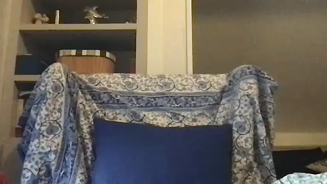 pantomax online show from November 2025 08:03:02 AM