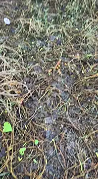 tamil000000 online show from March 2025 01:38:02 AM