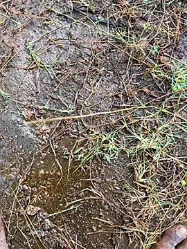 tamil000000 online show from March 2025 01:43:01 AM