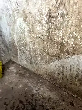 tamil000000 online show from January 2026 10:30:02 AM