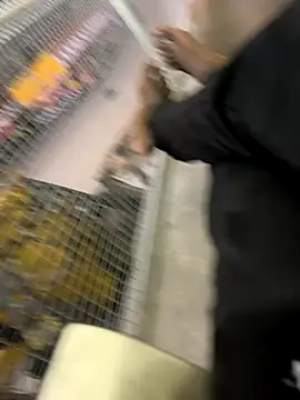 tamil000000 online show from November 2025 06:02:01 PM