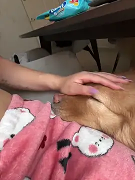 ariiel  online show from March 2026 01:34:01 PM