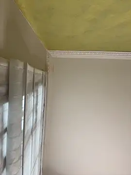 aurora divine online show from November 2025 01:05:01 PM