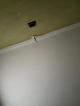 aurora divine online show from November 2025 01:03:02 PM