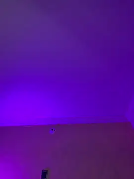 aurora divine online show from February 2026 10:53:02 PM