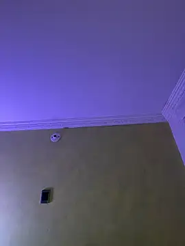 aurora divine online show from February 2026 01:13:02 PM