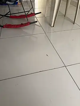 vivicolibri online show from November 2025 12:49:01 PM