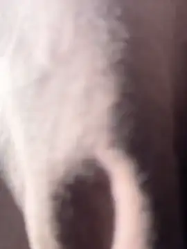 vivicolibri online show from December 2025 08:56:02 PM