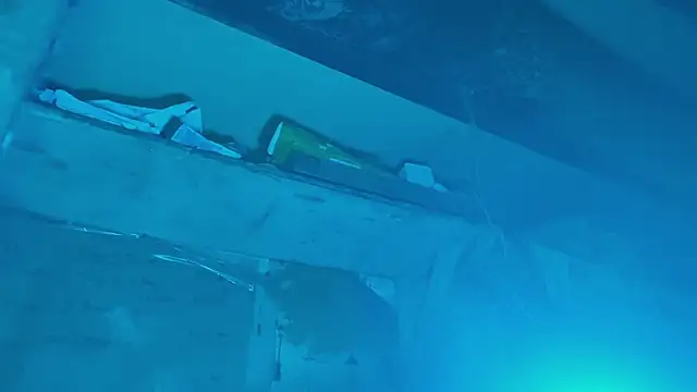 scmylife online show from November 2025 08:42:01 PM