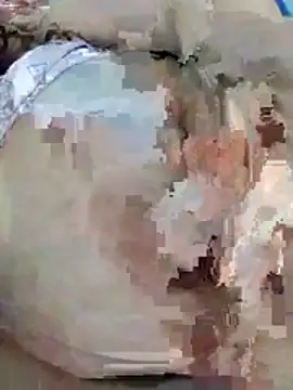 houda sex hot online show from April 2026 04:03:01 AM