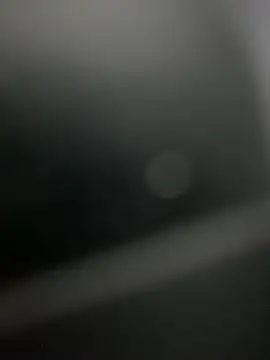 CooperAllana online show from March 2026 08:11:02 AM