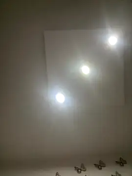 AntonellaAlondra4 online show from November 2025 03:21:02 AM