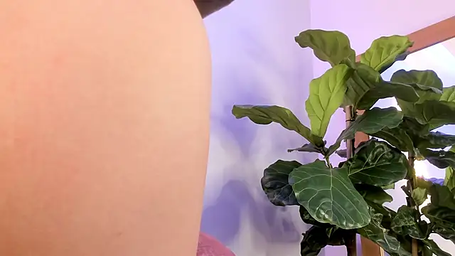 nicolle pierce online show from December 2025 01:44:02 PM