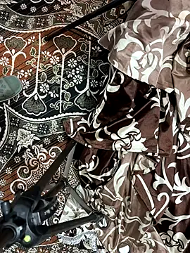 Snapshot of poision51 chatting on November 2025 11:37:01 AM poision51 online show from November 2025 11:37:01 AM