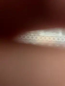 poision51 online show from April 2026 06:32:02 AM