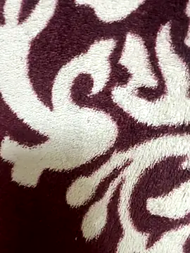 Snapshot of poision51 chatting on November 2025 04:38:01 AM poision51 online show from November 2025 04:38:01 AM