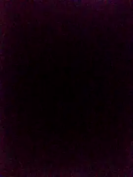 Snapshot of lovedoggy03 chatting on July 2026 02:17:01 PM lovedoggy03 online show from July 2026 02:17:01 PM
