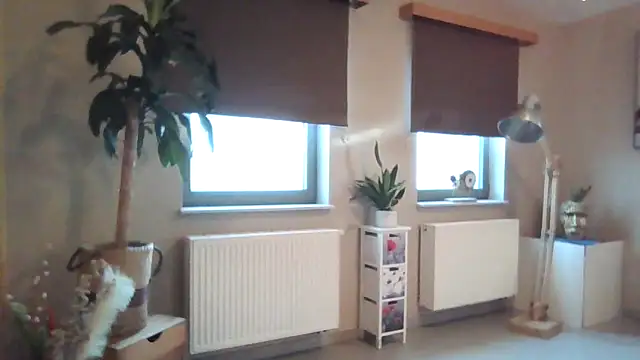 Snapshot of brtbrlss chatting on December 2025 09:25:01 AM brtbrlss online show from December 2025 09:25:01 AM