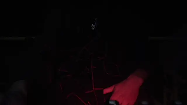 contemptumundi888 online show from February 2025 08:49:01 PM