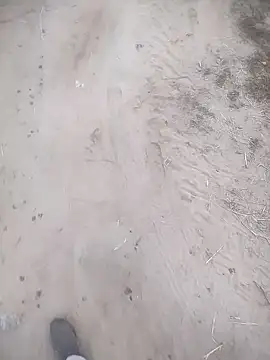 Snapshot of ajaysinghsss chatting on November 2025 01:32:02 AM ajaysinghsss online show from November 2025 01:32:02 AM