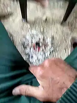 Snapshot of ajaysinghsss chatting on January 2025 06:31:02 AM ajaysinghsss online show from January 2025 06:31:02 AM