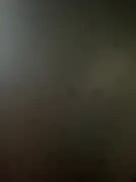 Snapshot of RicarBer chatting on October 2025 05:24:02 PM RicarBer online show from October 2025 05:24:02 PM