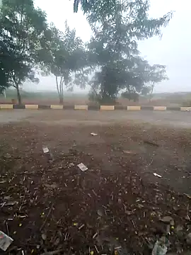 blackcobra94 online show from December 2024 08:13:01 AM