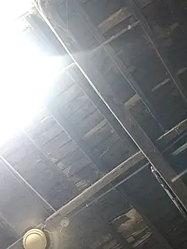 blackcobra94 online show from February 2025 08:36:01 PM