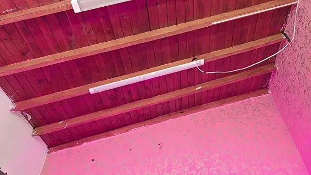 Sofia martiin online show from November 2025 03:10:01 AM