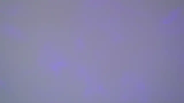 SelinSwarovski online show from November 2025 05:03:01 AM