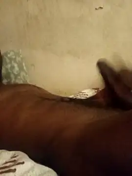 Lexwelll online show from February 2026 08:26:02 AM