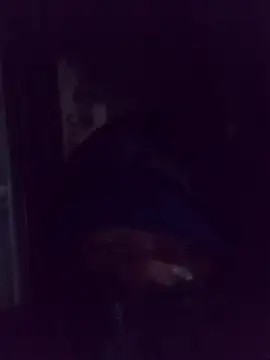 AquaticPlosion online show from March 2026 01:39:02 AM