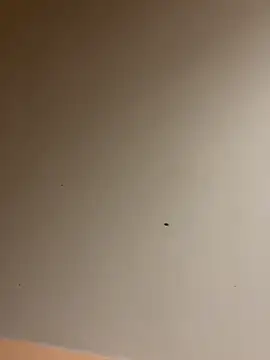 Snapshot of lilyxafterdark chatting on December 2024 08:17:01 AM lilyxafterdark online show from December 2024 08:17:01 AM