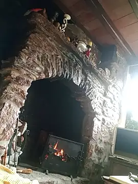 MrTamburine22 online show from November 2025 12:49:01 PM