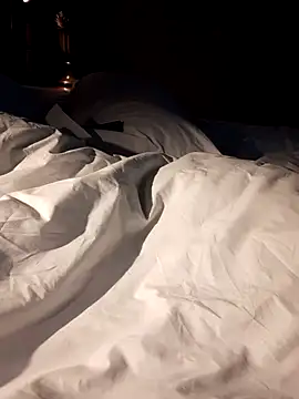 Snapshot of Premium_Dick chatting on March 2025 12:08:02 AM Premium Dick online show from March 2025 12:08:02 AM