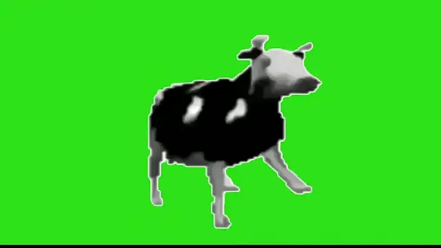 awesome anna online show from February 2026 10:59:02 AM