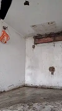 Snapshot of -Lola_Bunny chatting on February 2025 11:06:01 PM -Lola Bunny online show from February 2025 11:06:01 PM