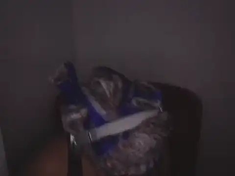 Makemymoney27 online show from December 2024 02:01:01 PM