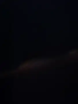 lukay69 online show from February 2026 08:44:02 AM