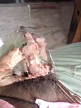 PracticalGum40 online show from April 2026 09:23:01 AM