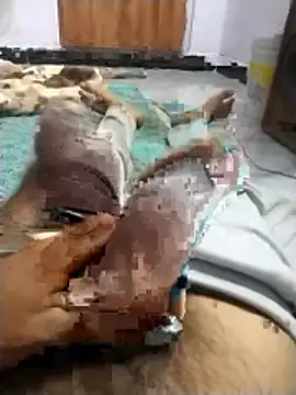 PracticalGum40 online show from April 2026 06:03:01 PM