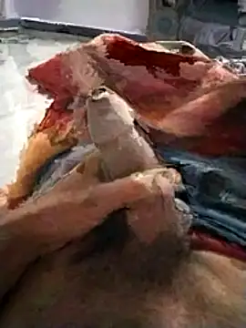 PracticalGum40 online show from November 2025 05:24:02 PM