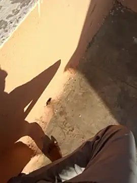 PracticalGum40 online show from January 2026 03:35:02 AM