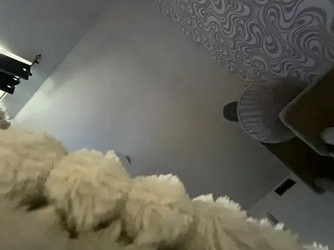 bunnyamy online show from November 2025 11:03:02 AM