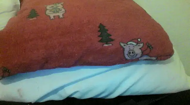 bunnyamy online show from December 2024 05:55:02 PM