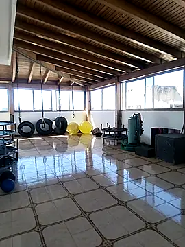 Alison fitness online show from February 2026 01:51:02 PM