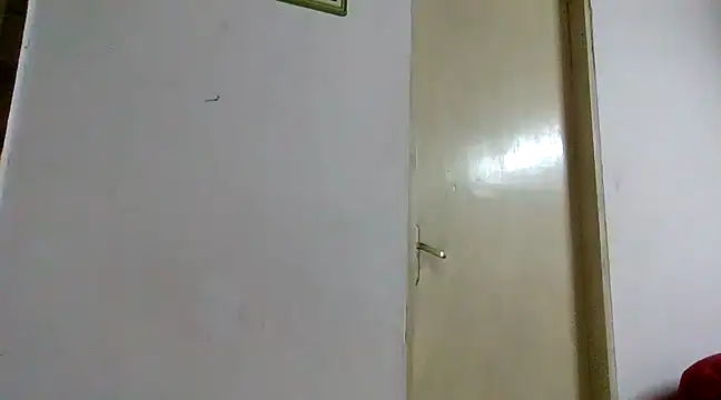 DiGabriel online show from December 2024 11:29:01 PM